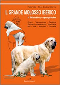 Il grande molosso iberico. Il mastino spagnolo Pets