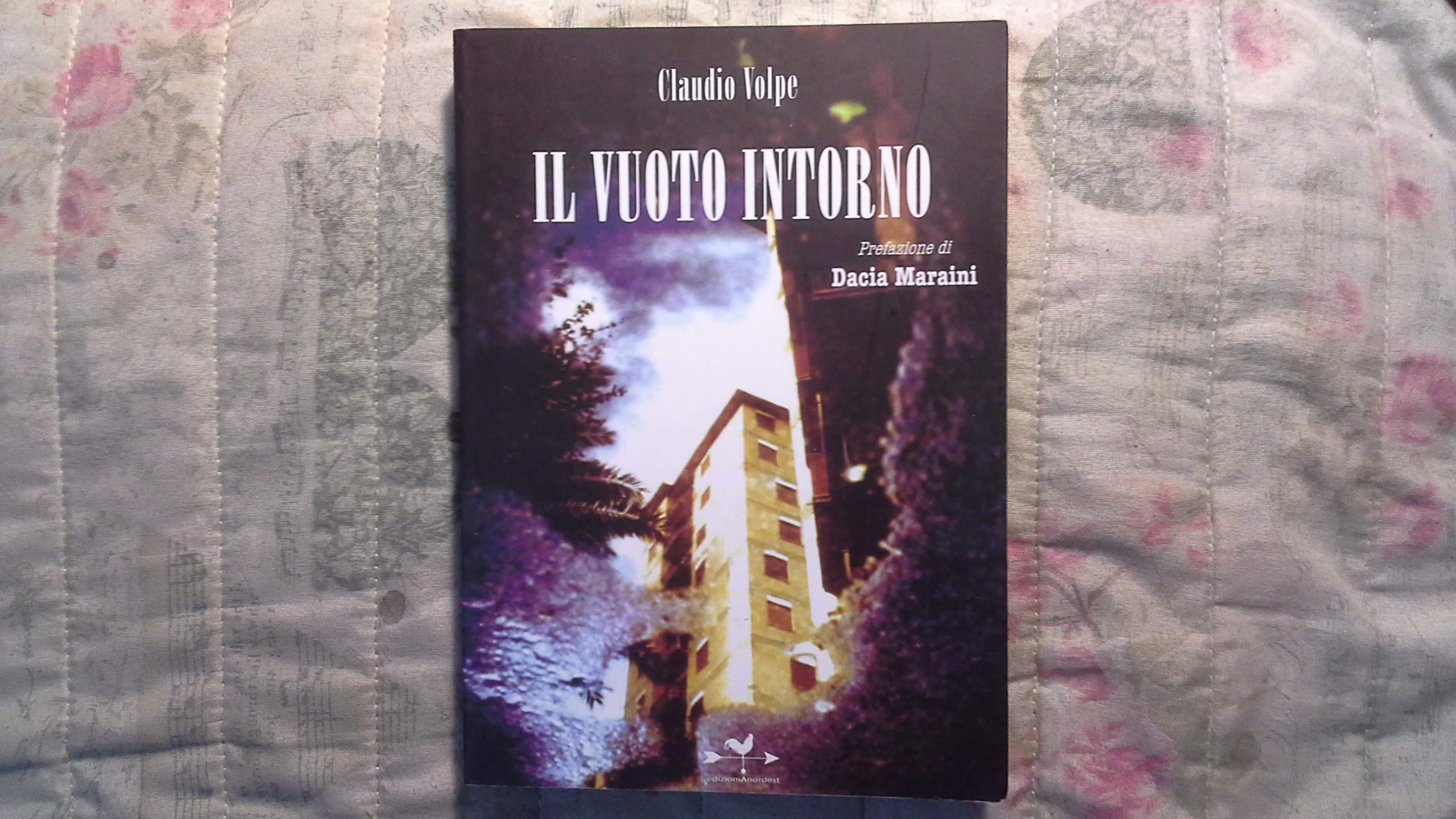 Il vuoto intorno book
