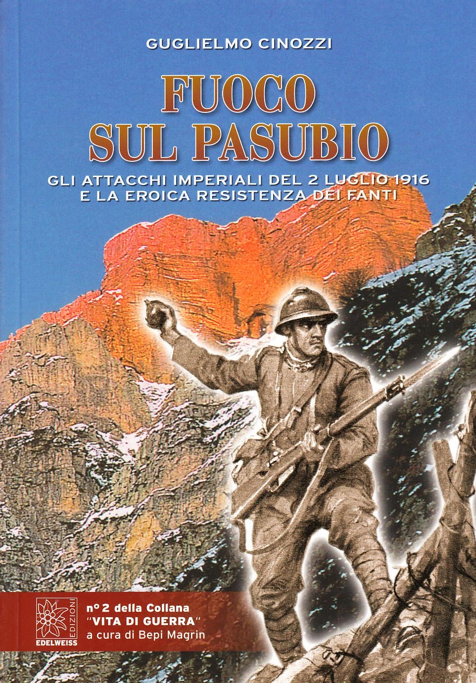 Fuoco sul Pasubio. Gli attacchi imperiali del 2 luglio 1916 e la eroica resistenza dei fanti Social Sciences