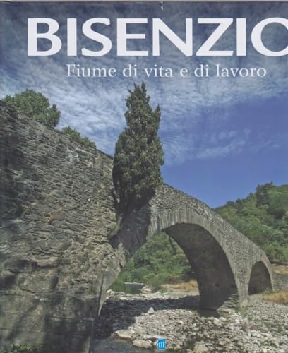 Bisenzio Fiume di vita e di lavoro. book