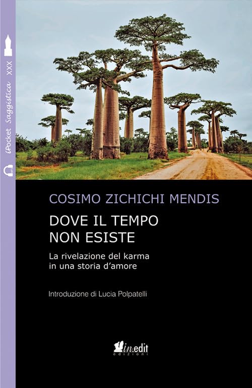 Dove il tempo non esiste. La rivelazione del karma in una storia d'amore. Nuova ediz. book