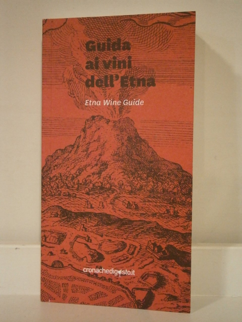 Guida ai vini dell'Etna 2018/2019. Ediz. italiana e inglese book
