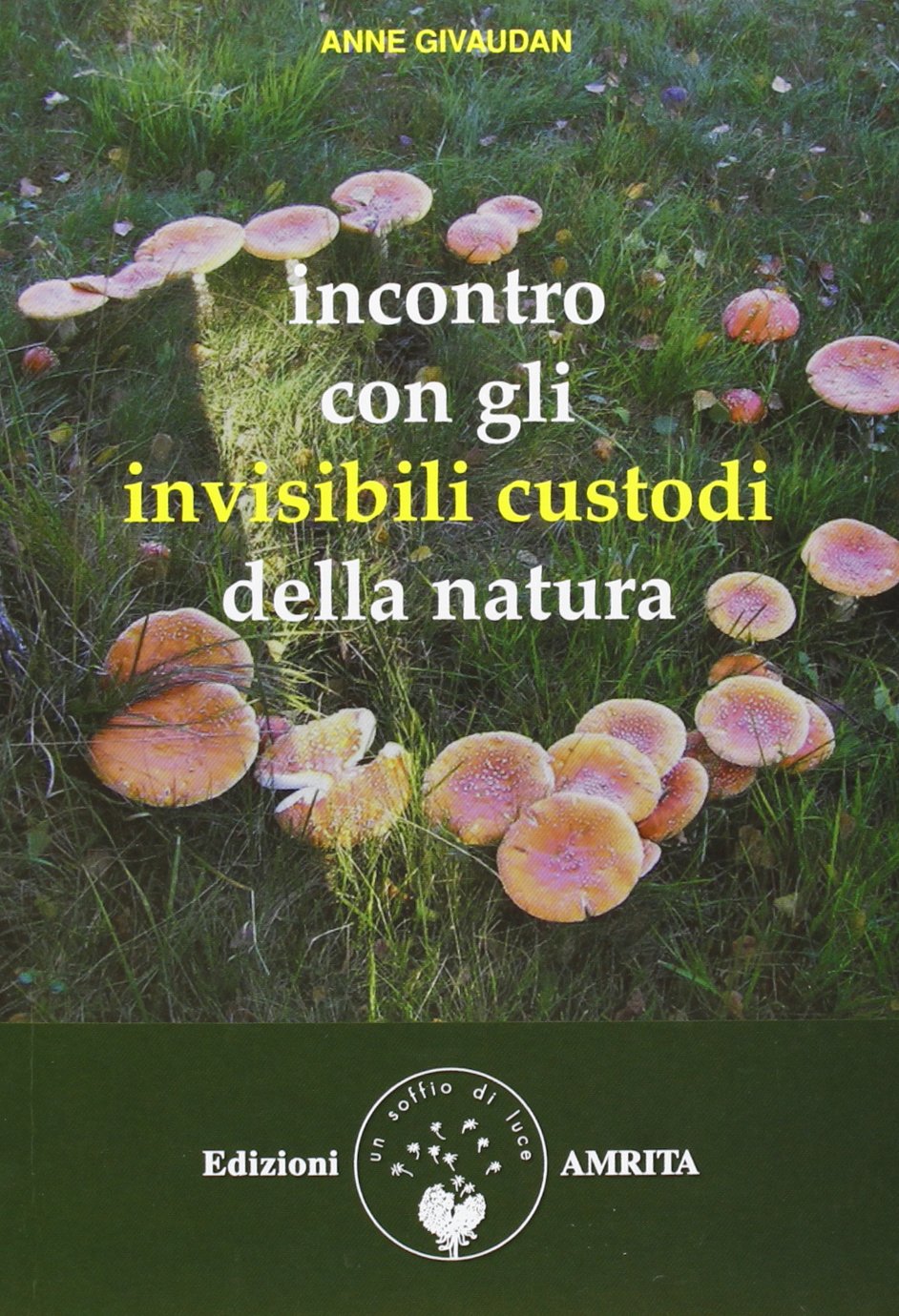Incontro con gli invisibili custodi della natura book