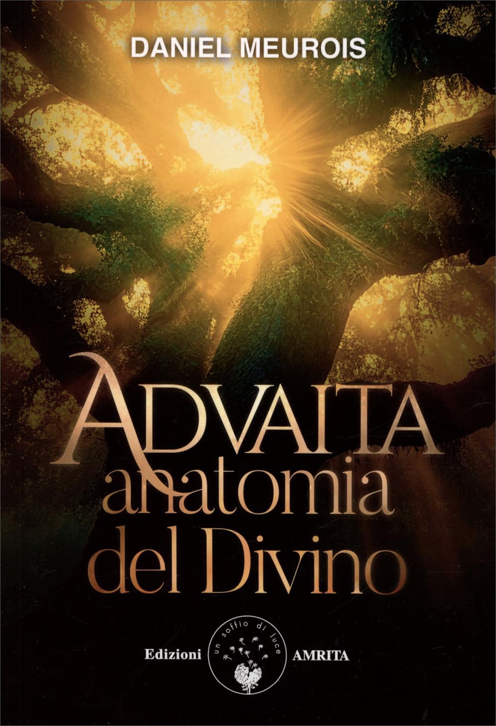 Advaita. Anatomia del divino Religion & Esotericism