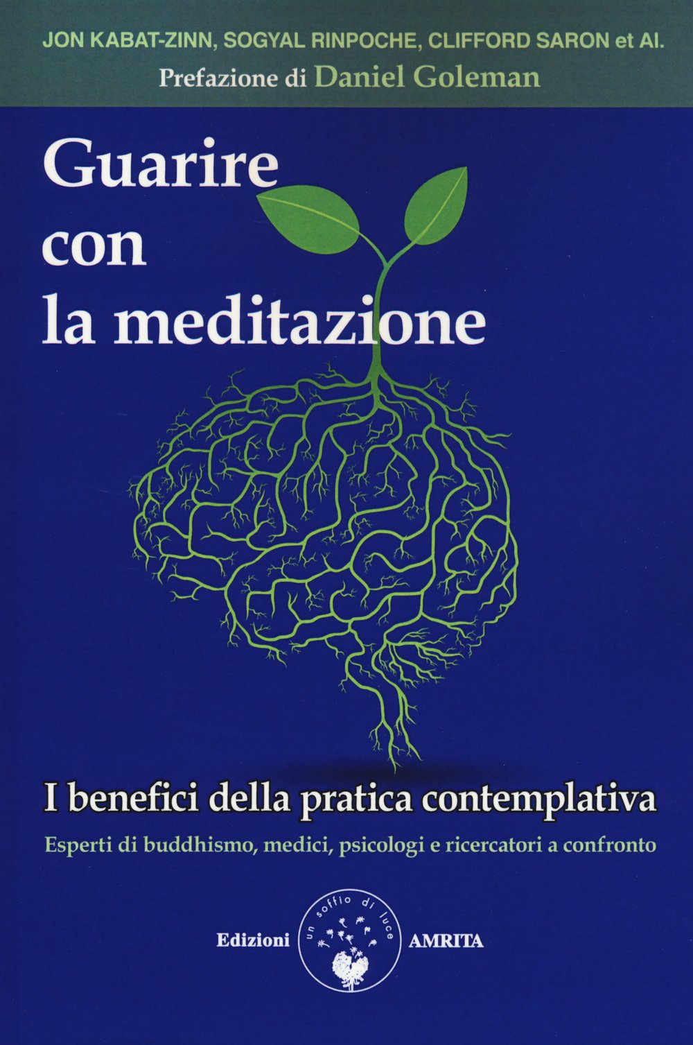 Guarire con la meditazione. I benefici della pratica contemplativa. Esperti di buddhismo, medici e psicologi a confronto Religion & Esotericism