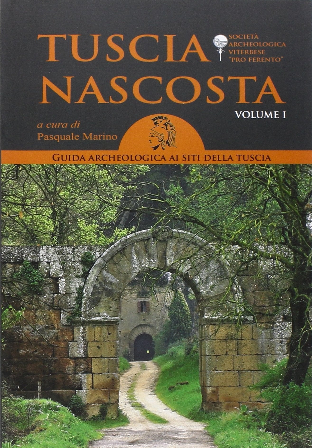 Tuscia nascosta. Guida archeologica ai siti della Tuscia Leisure, Home & Garden