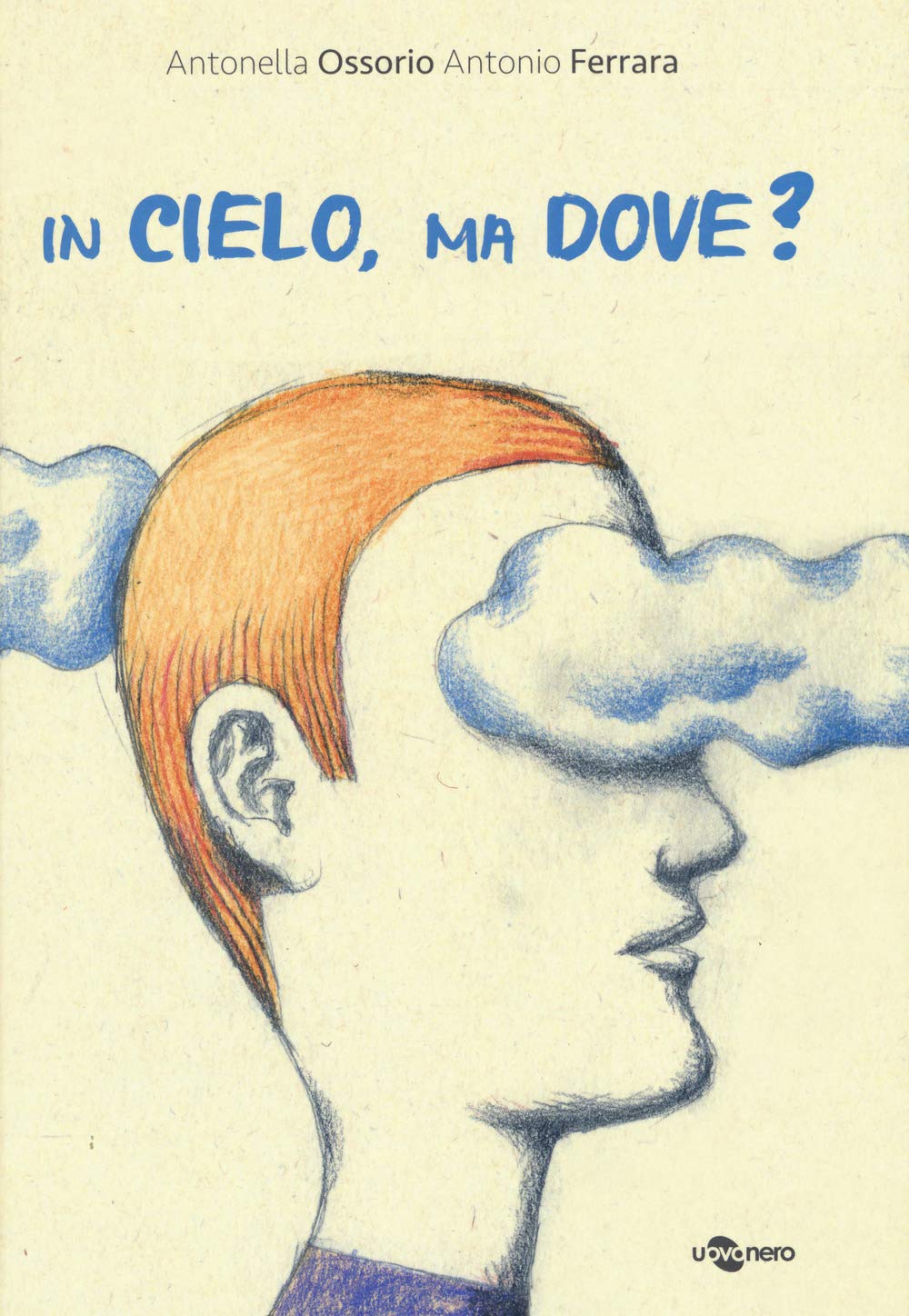 In cielo, ma dove? Ediz. a colori book
