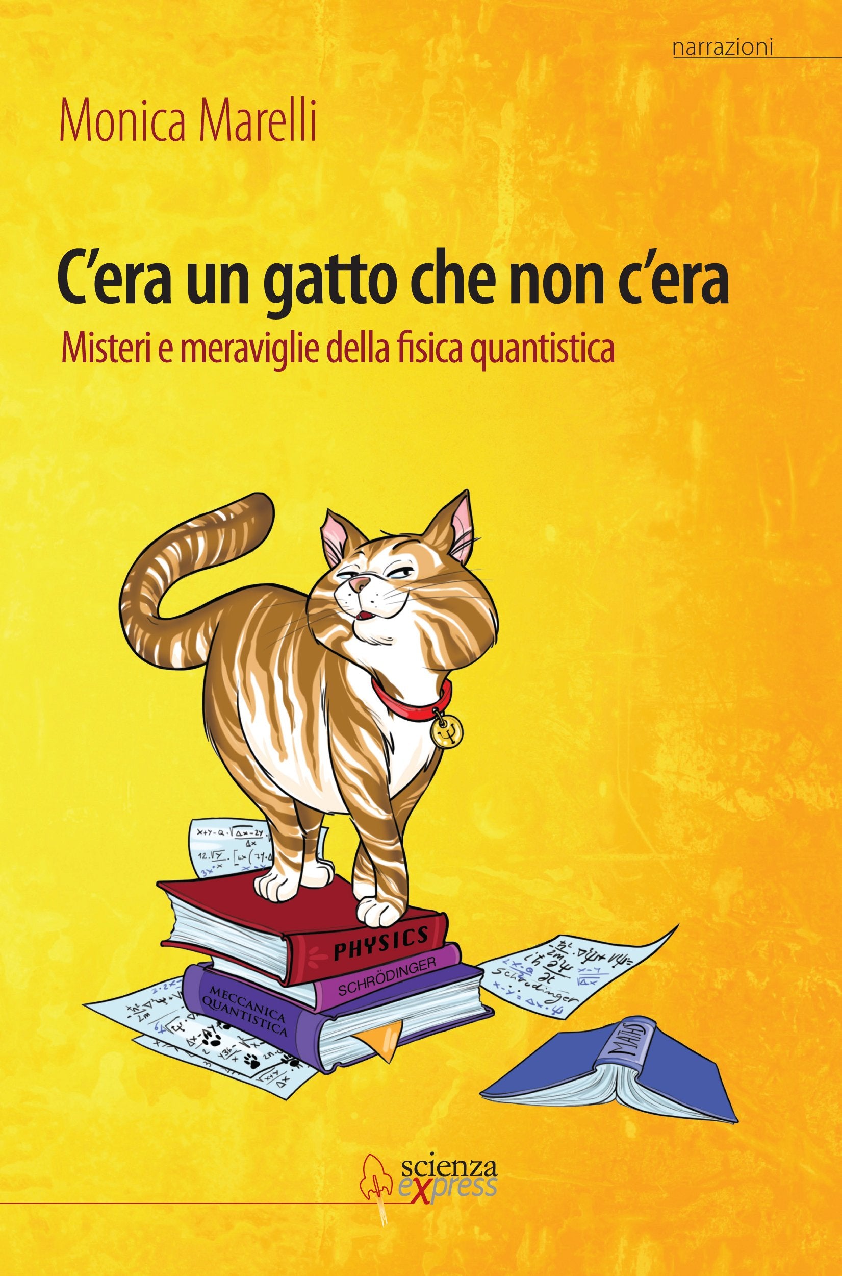 C'era un gatto che non c'era. Misteri e meraviglie della fisica quantistica book