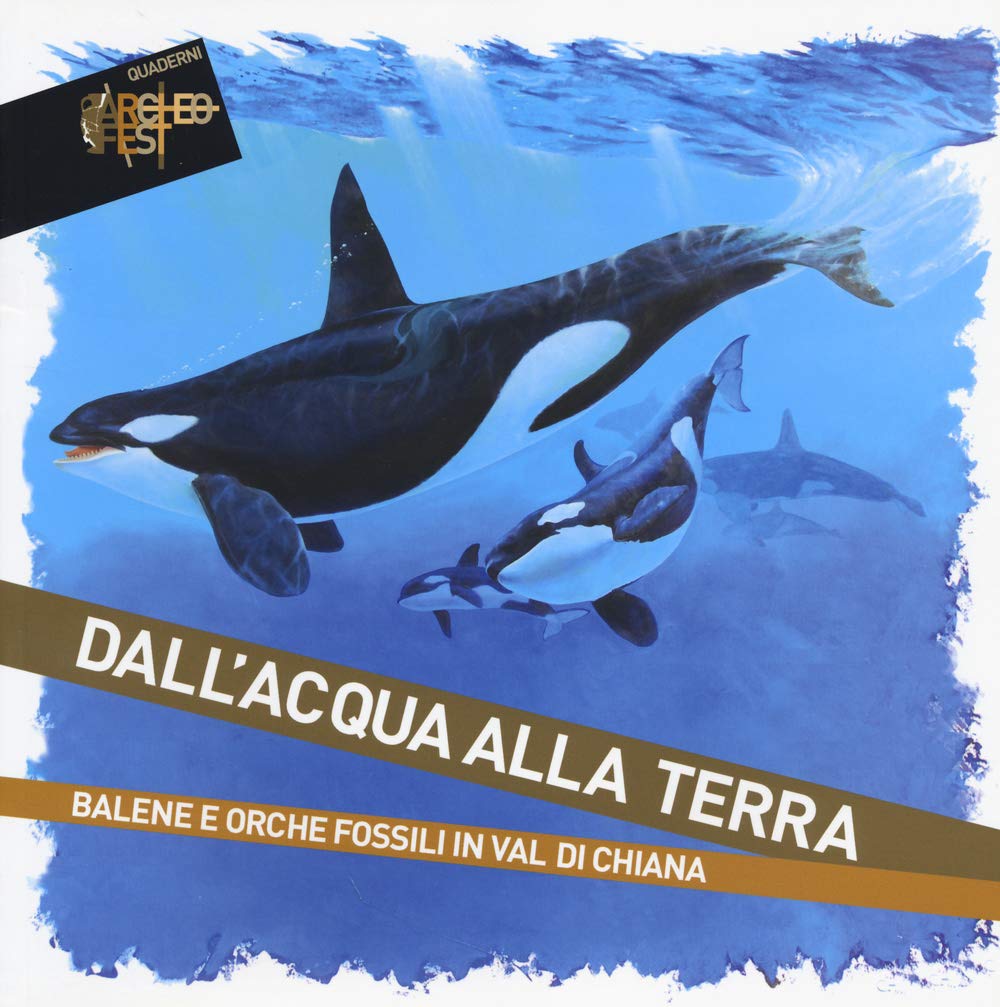 Dall'acqua alla terra. Balene e orche fossili in Val di Chiana book
