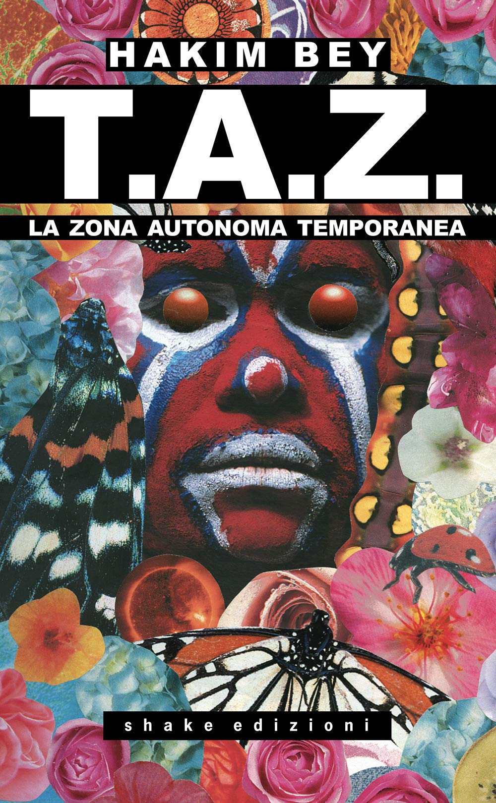 T.A.Z. La Zona Autonoma Temporanea book