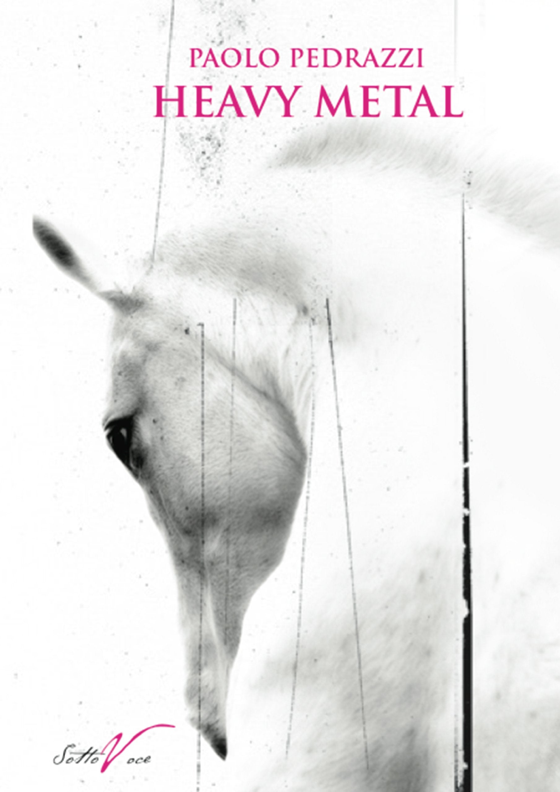 Heavy metal (Rooms) Contemporary literature