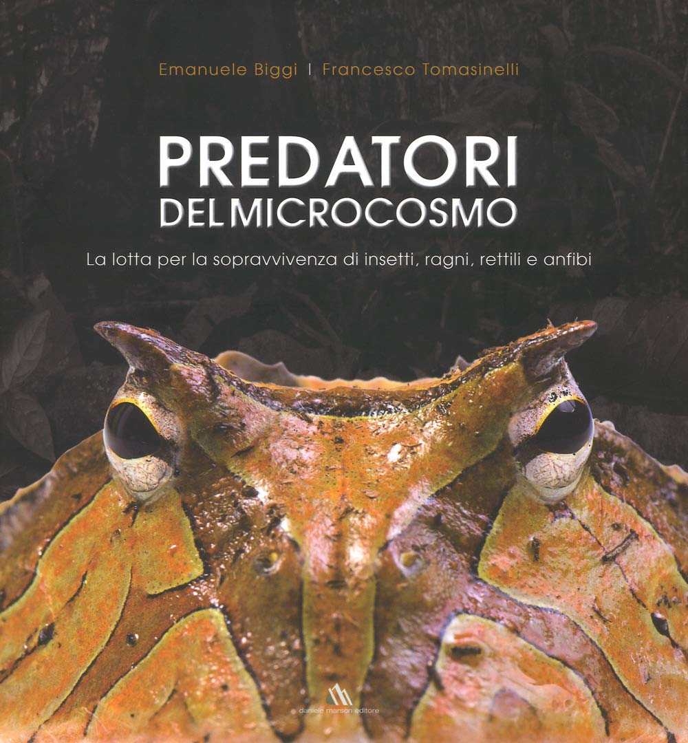 Predatori del microcosmo. La lotta per la sopravvivenza di insetti, ragni, rettili e anfibi. Ediz. a colori book