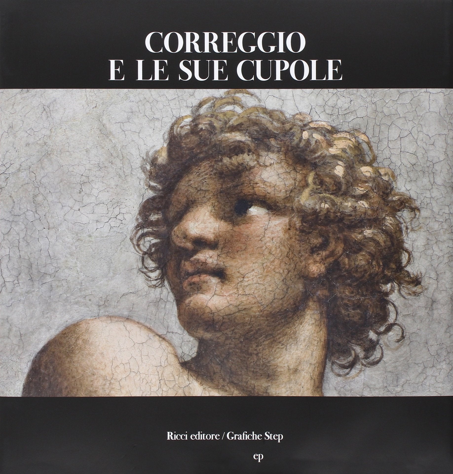 Correggio e le sue cupole book