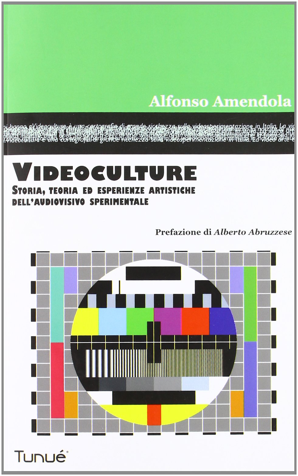 Videoculture. Storia, teorie ed esperienze artistiche dell'audiovisivo sperimentale. Ediz. illustrata book
