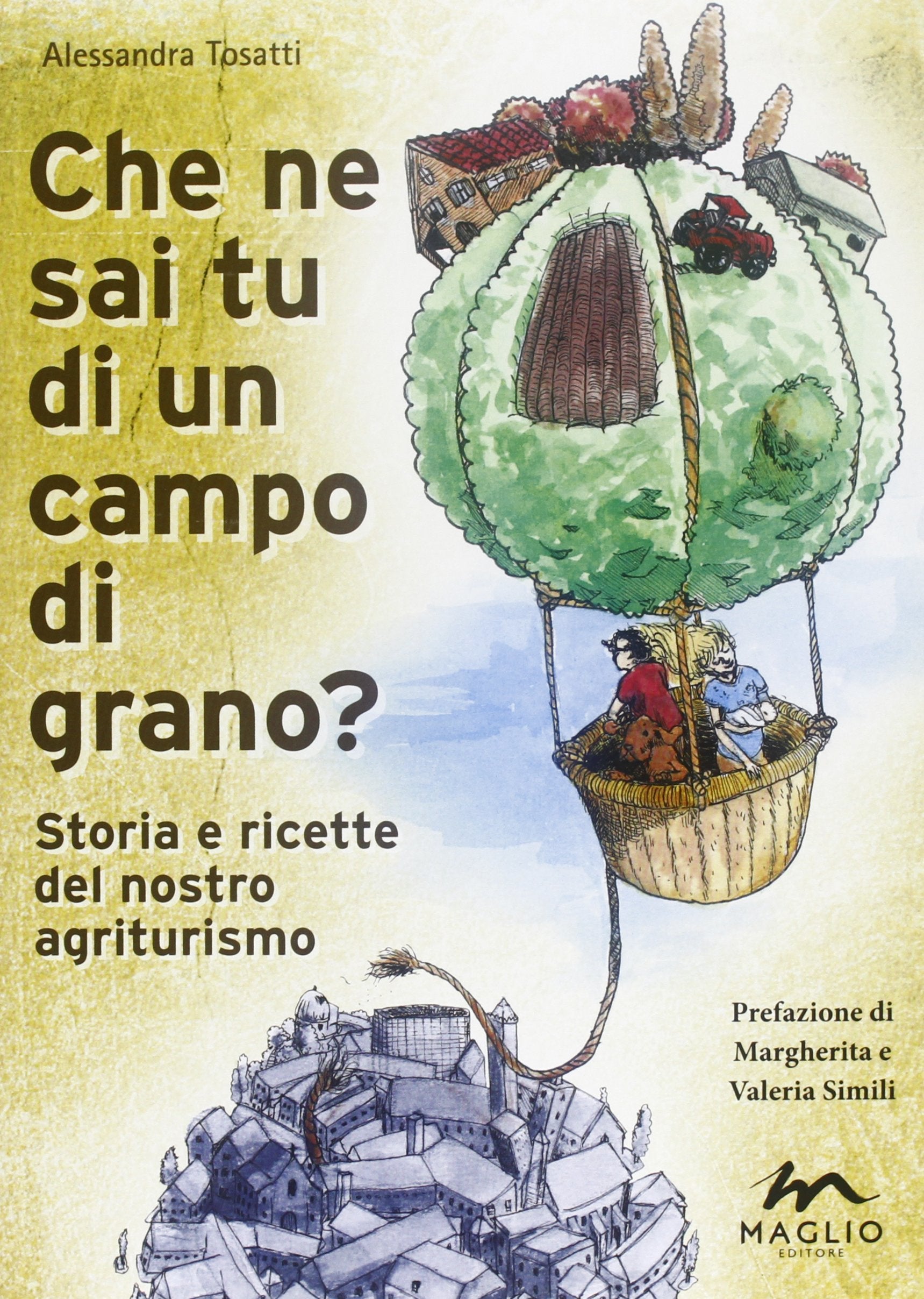 Che ne sai tu di un campo di grano? Storie e ricette del nostro agriturismo (Voci dal bazar) Leisure, Home & Garden