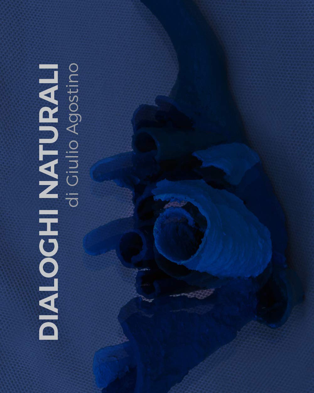 Dialoghi naturali. Giulio Agostino. Ediz. illustrata Film, Art & Culture