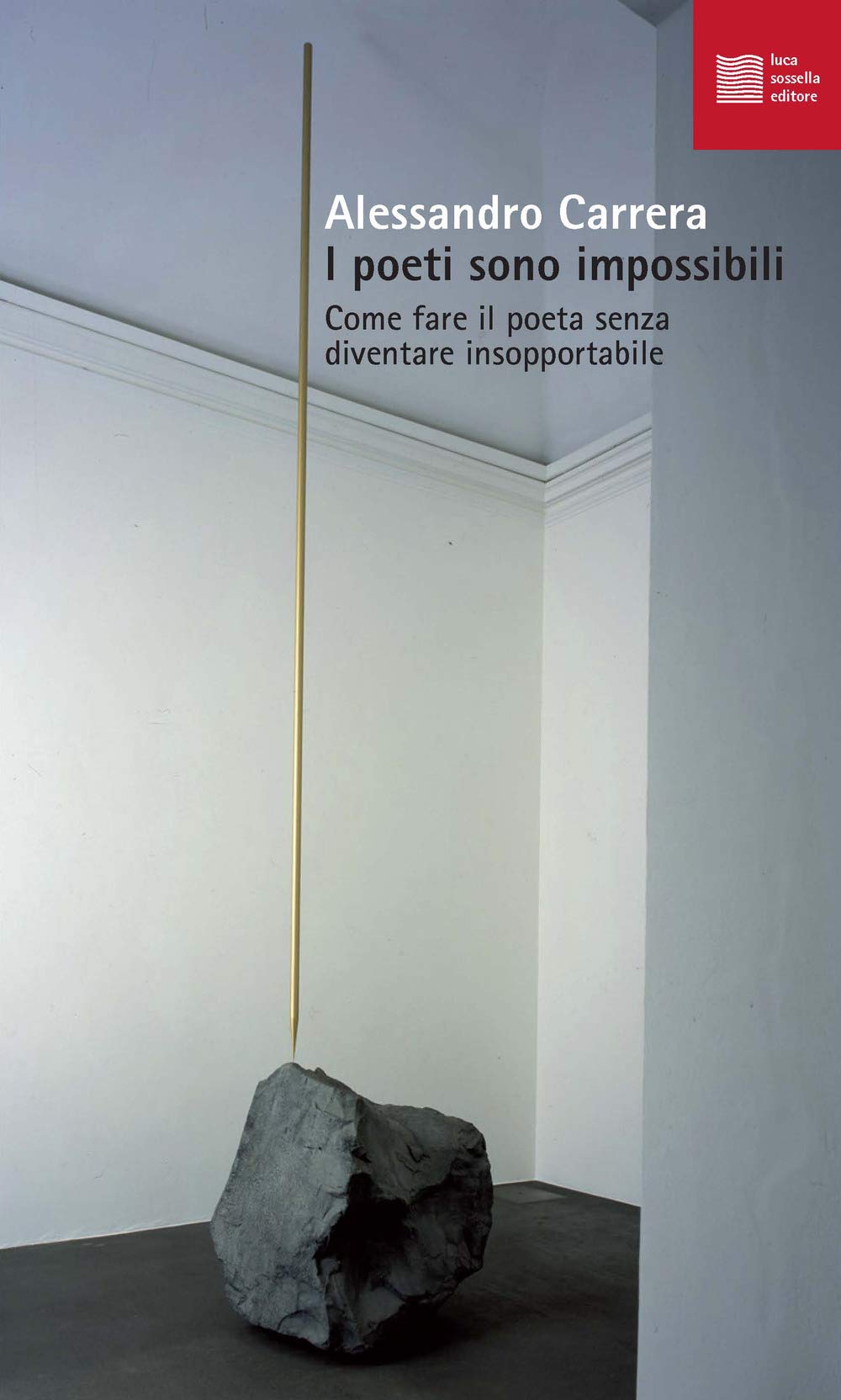 I poeti sono impossibili. Come fare il poeta senza diventare insopportabile (Numerus) Contemporary literature