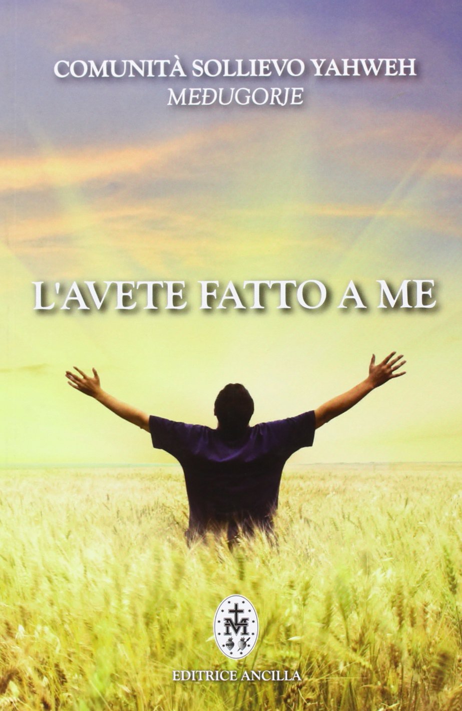 L'avete fatto a me book