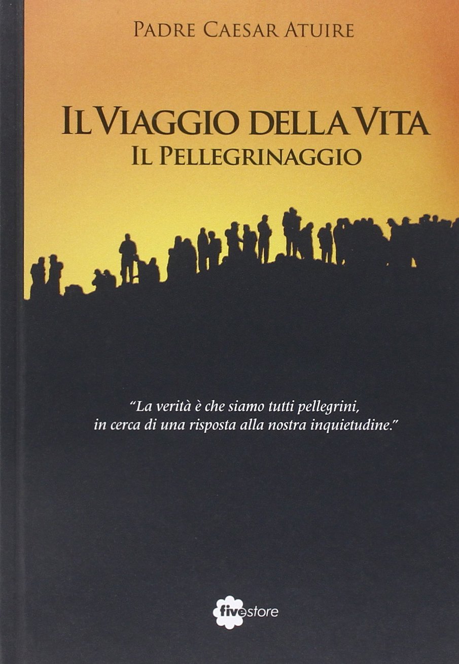 Il viaggio della vita. Il pellegrinaggio book