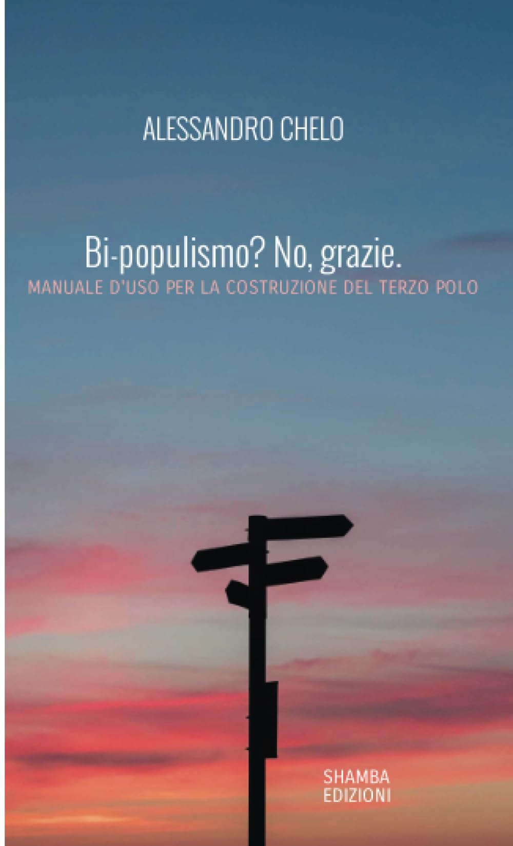 Bi-populismo? No, grazie.: Manuale d'uso per la costruzione del terzo polo Politics & History