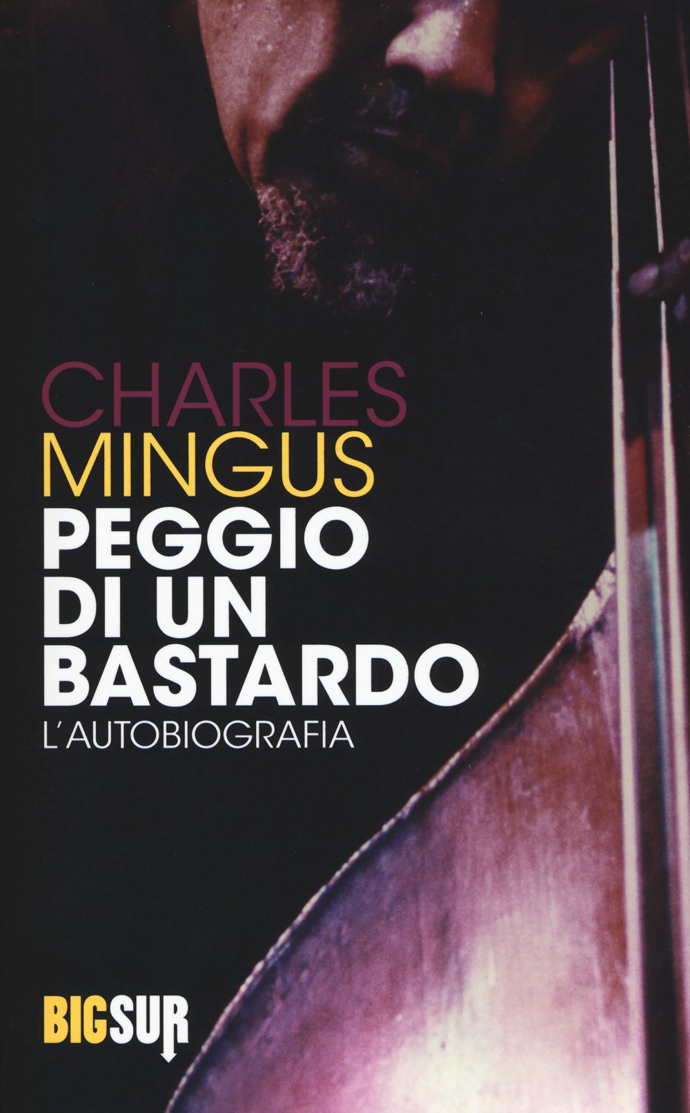 Peggio di un bastardo. L'autobiografia book