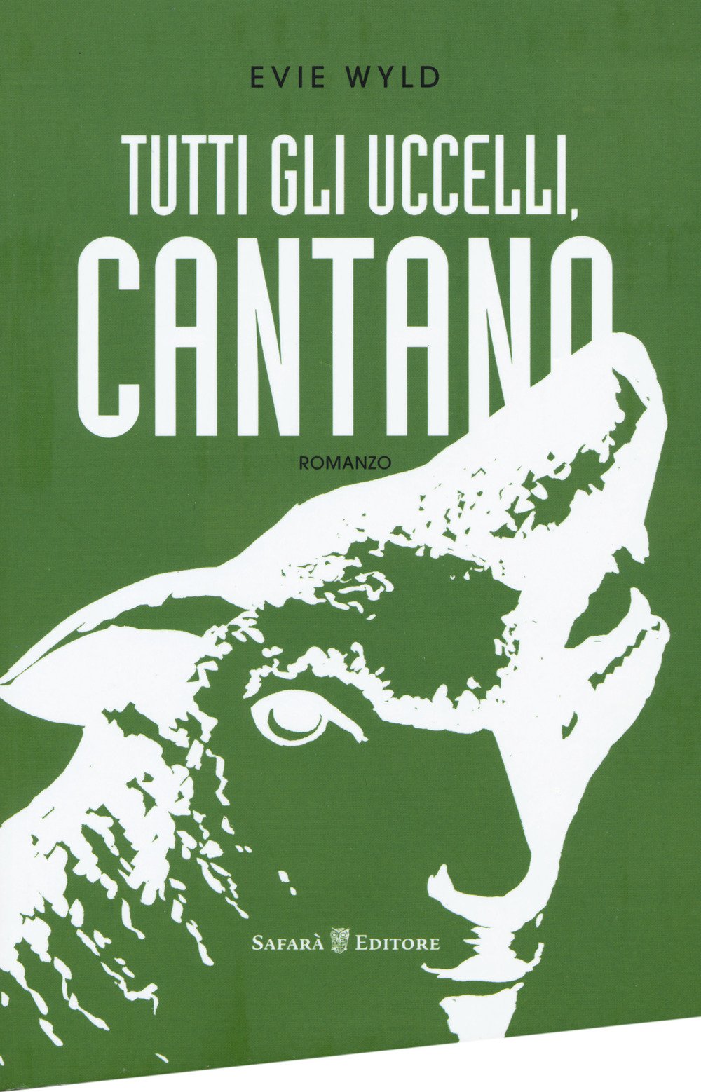 Tutti gli uccelli, cantano book