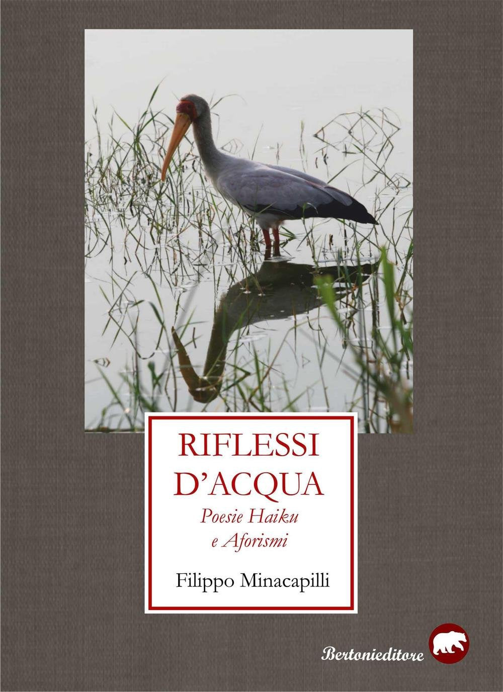 Riflessi d'acqua. Poesie haiku e aforismi book