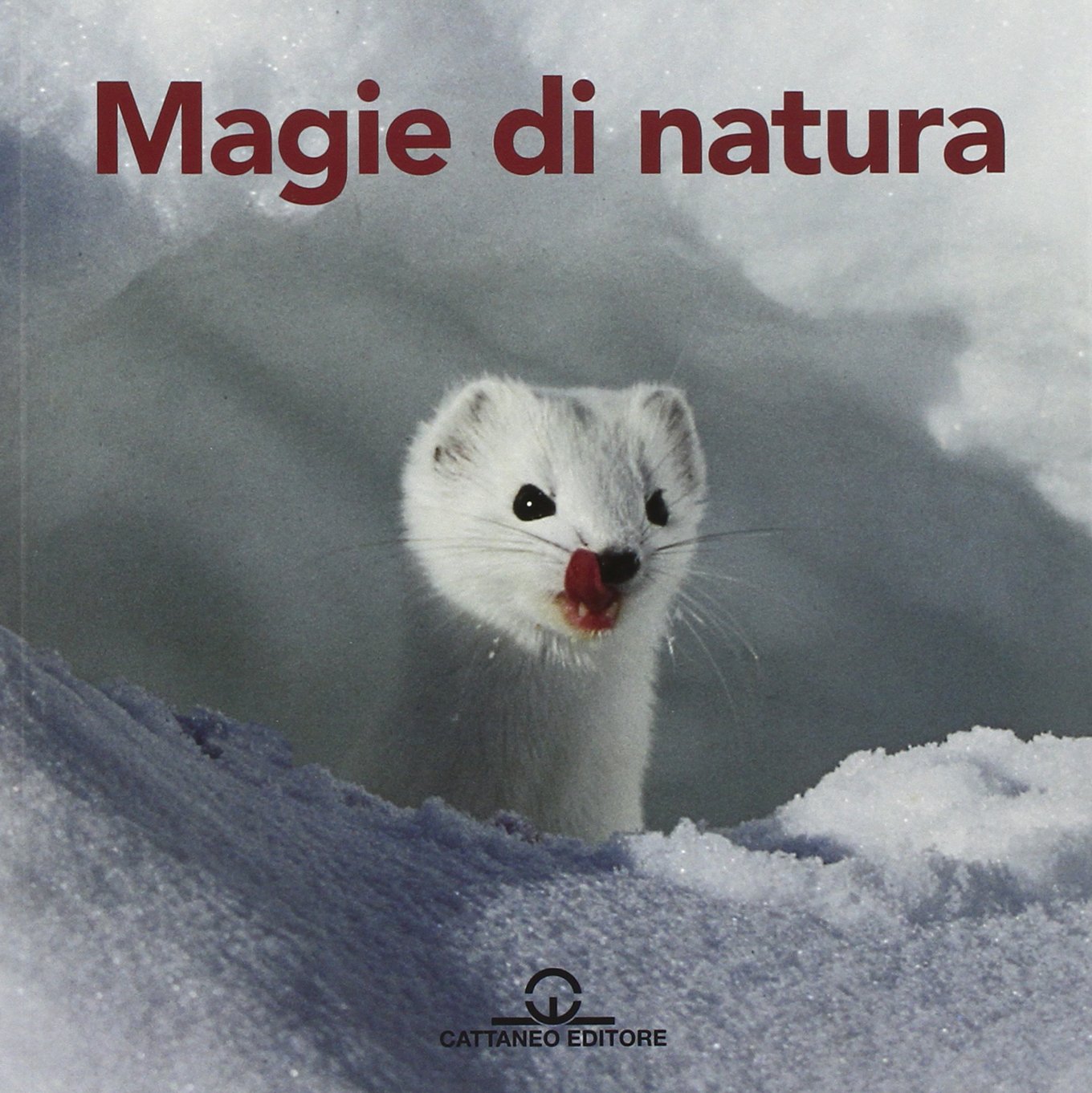 Magie di natura. Ediz. illustrata book