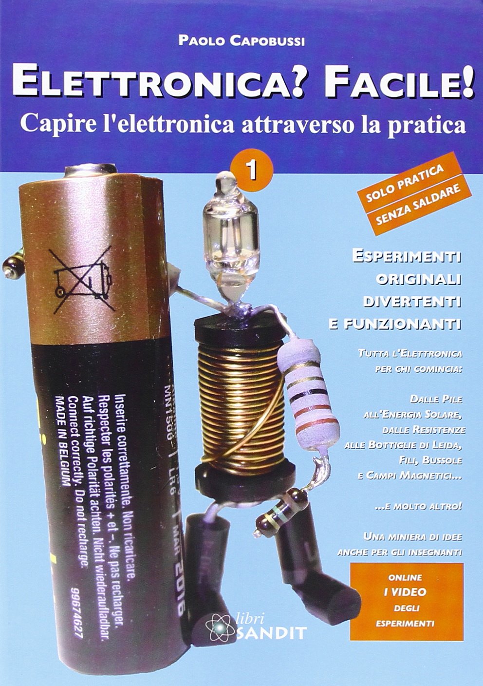 Capobussi, P: Elettronica? Facile! Business & Technology