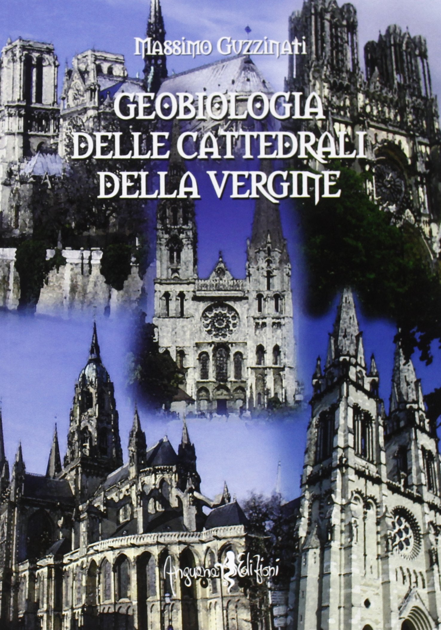 Geobiologia delle cattedrali della vergine Natural Sciences