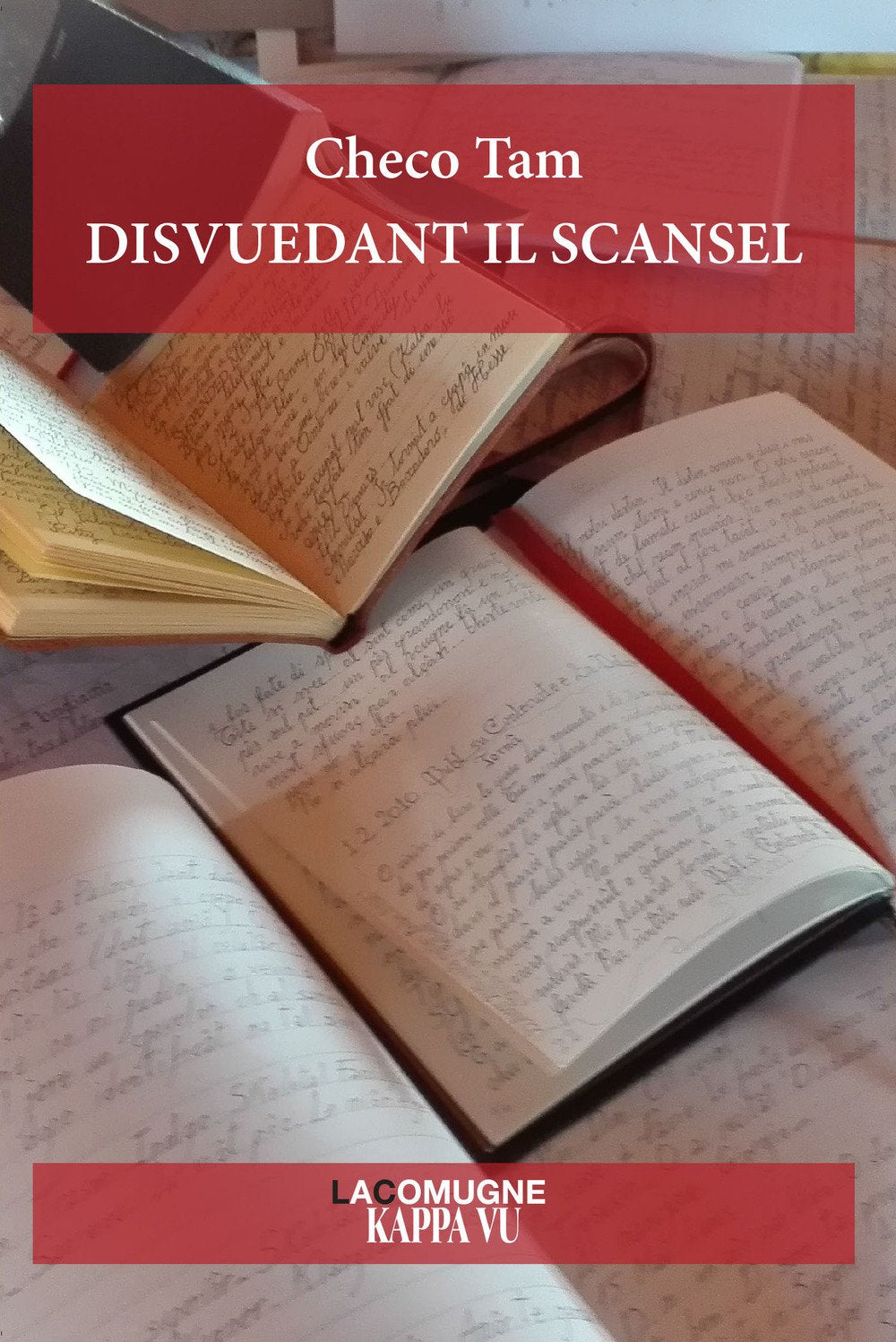 Disvuedant il scansel. Testo in friulano book