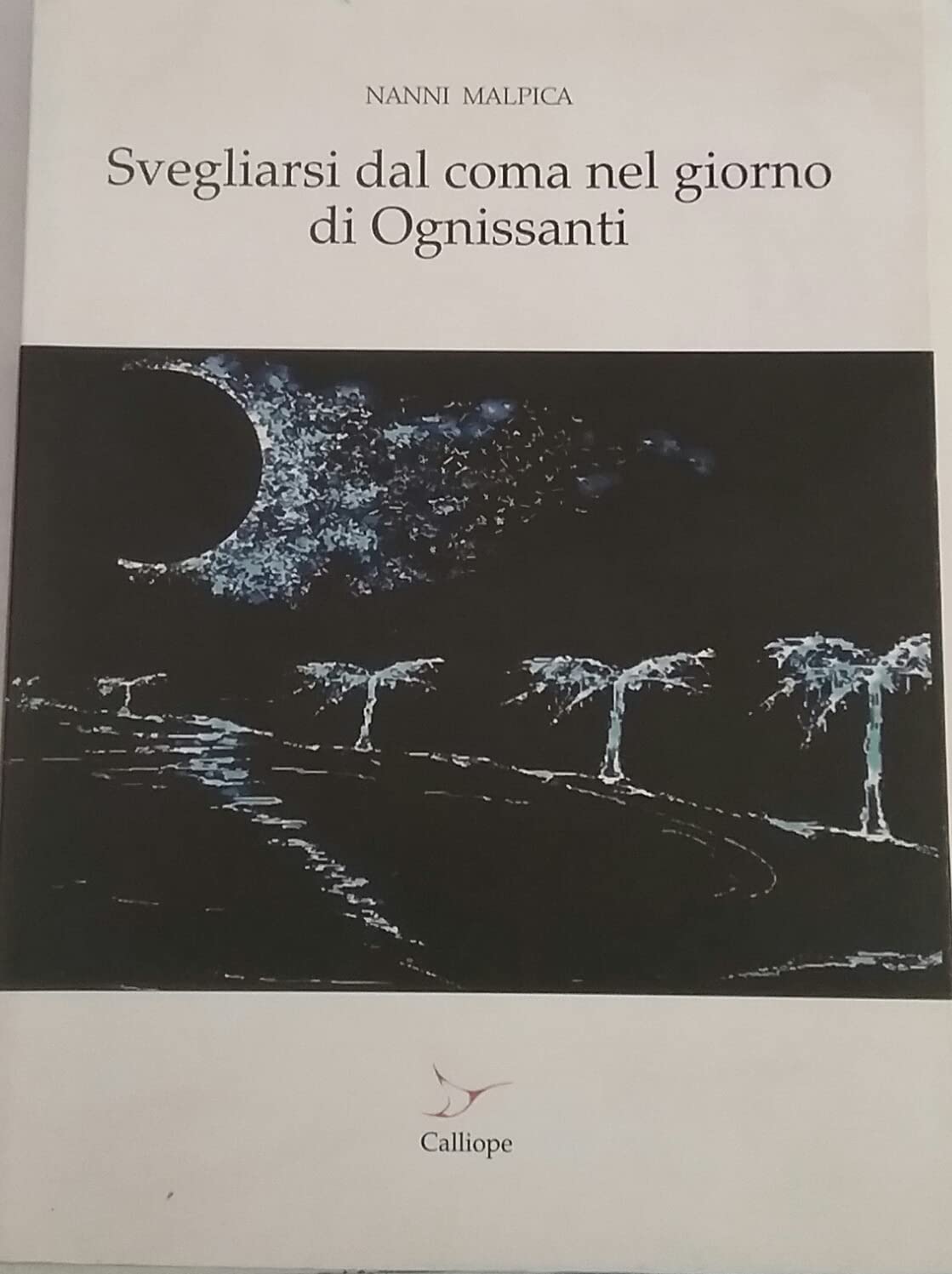 Svegliarsi dal coma nel giorno di Ognissanti Contemporary literature