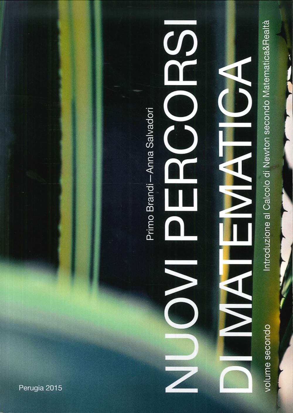Nuovi percorsi di matematica (Vol. 2) book