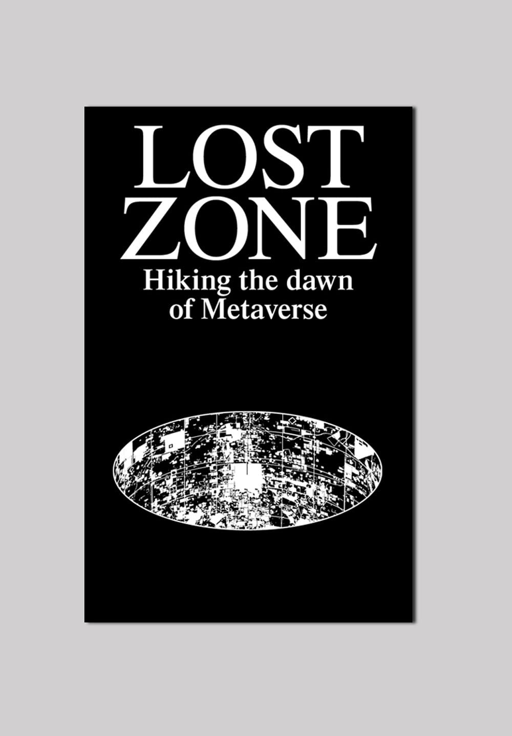 Lost Zone. Hiking the Dawn of Metaverse Computer Science