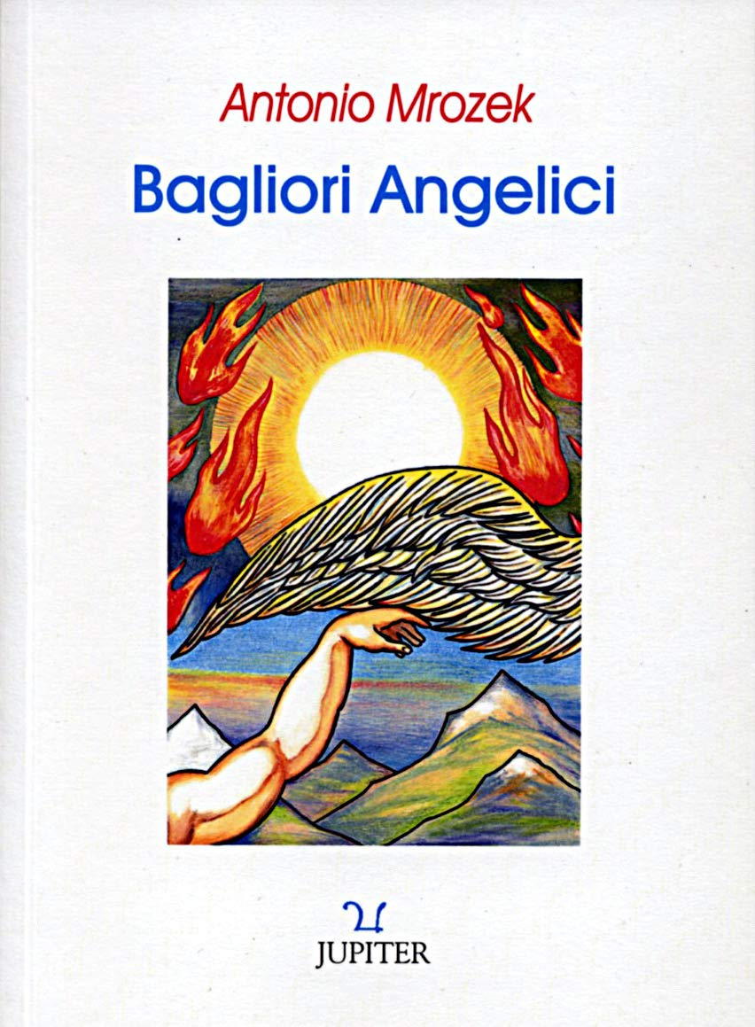 Bagliori angelici. L'angelo nelle scritture e nell'evoluzione del pensiero occidentale book