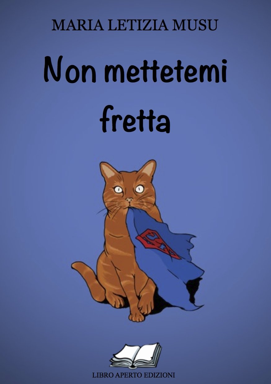 Non mettetemi fretta (Light books) Contemporary literature