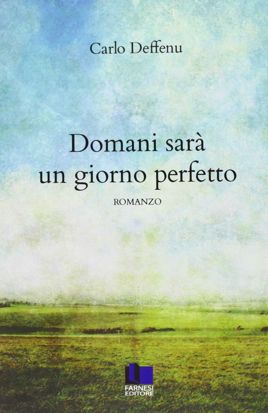 Domani sarà un giorno perfetto (Bluinchiostro) Contemporary literature