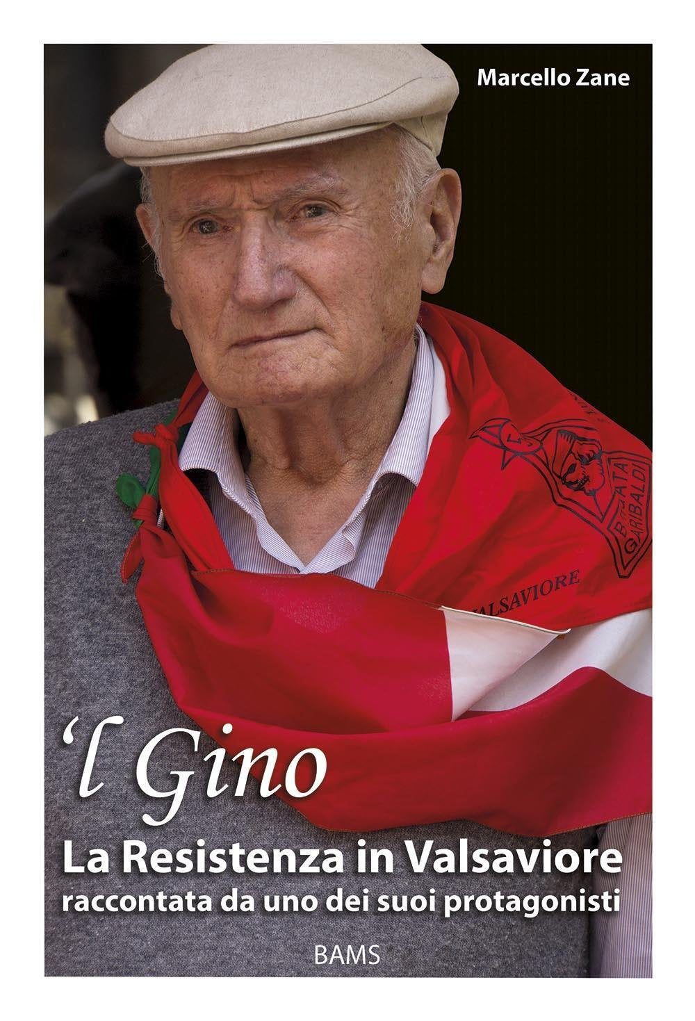 'L Gino. La resistenza in Valsaviore raccontata da uno dei suoi protagonisti book