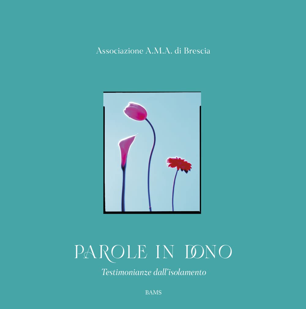 Parole in dono. Testimonianze dall'isolamento Books