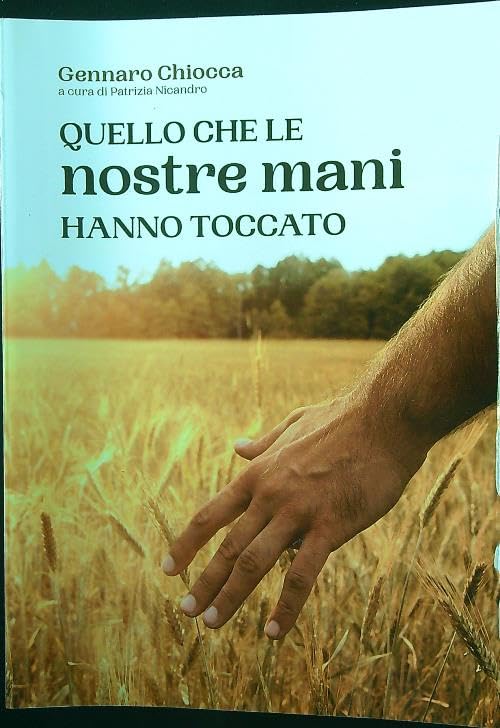 Quello che le nostre mani hanno toccato book