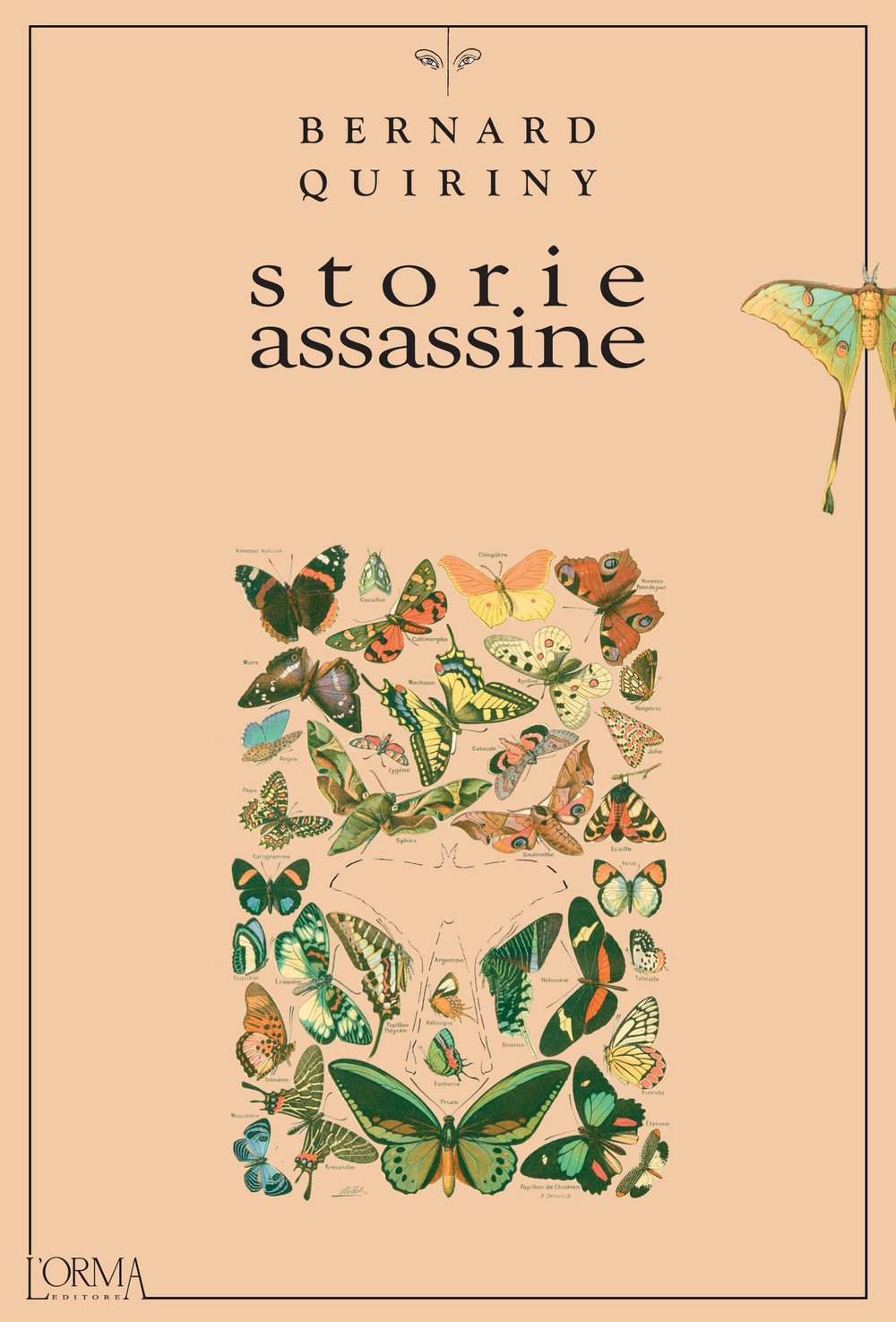 Storie assassine (Kreuzville) Essays & Short Stories