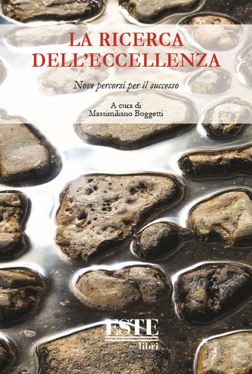 La ricerca dell’eccellenza. Nove percorsi per il successo book
