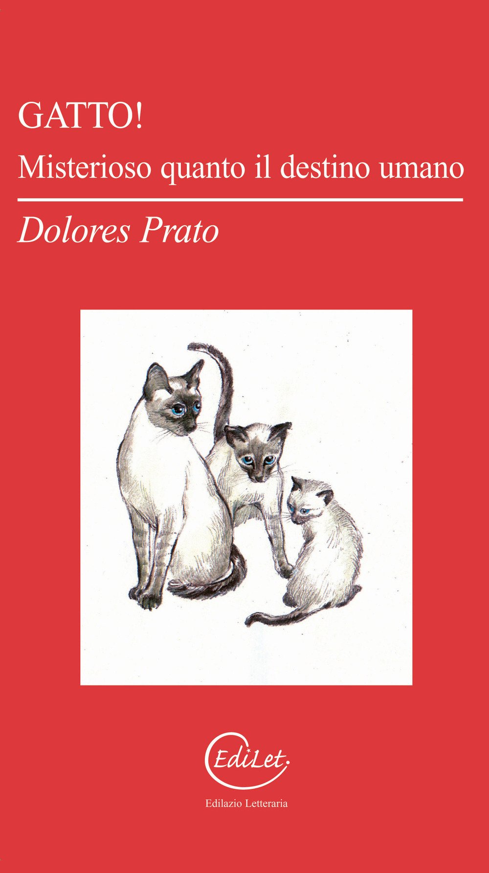 Gatto! Misterioso quanto il destino umano (Argonauti) Contemporary literature