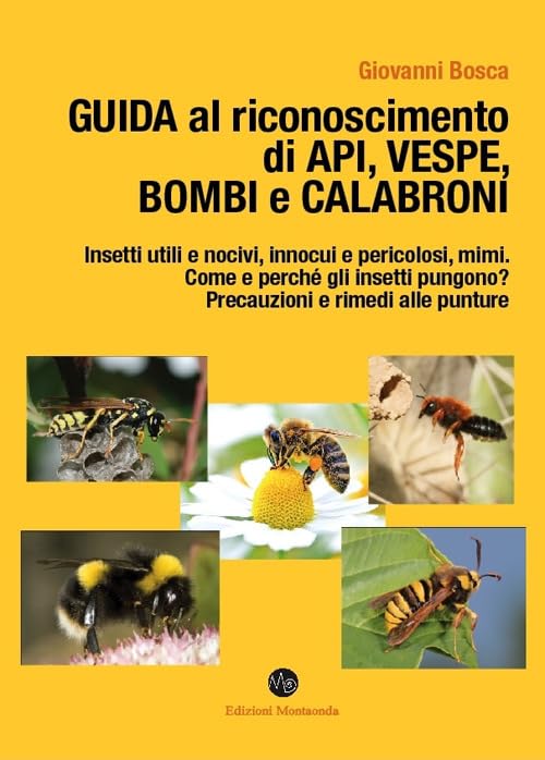 Guida al riconoscimento di api, vespe, bombi e calabroni book