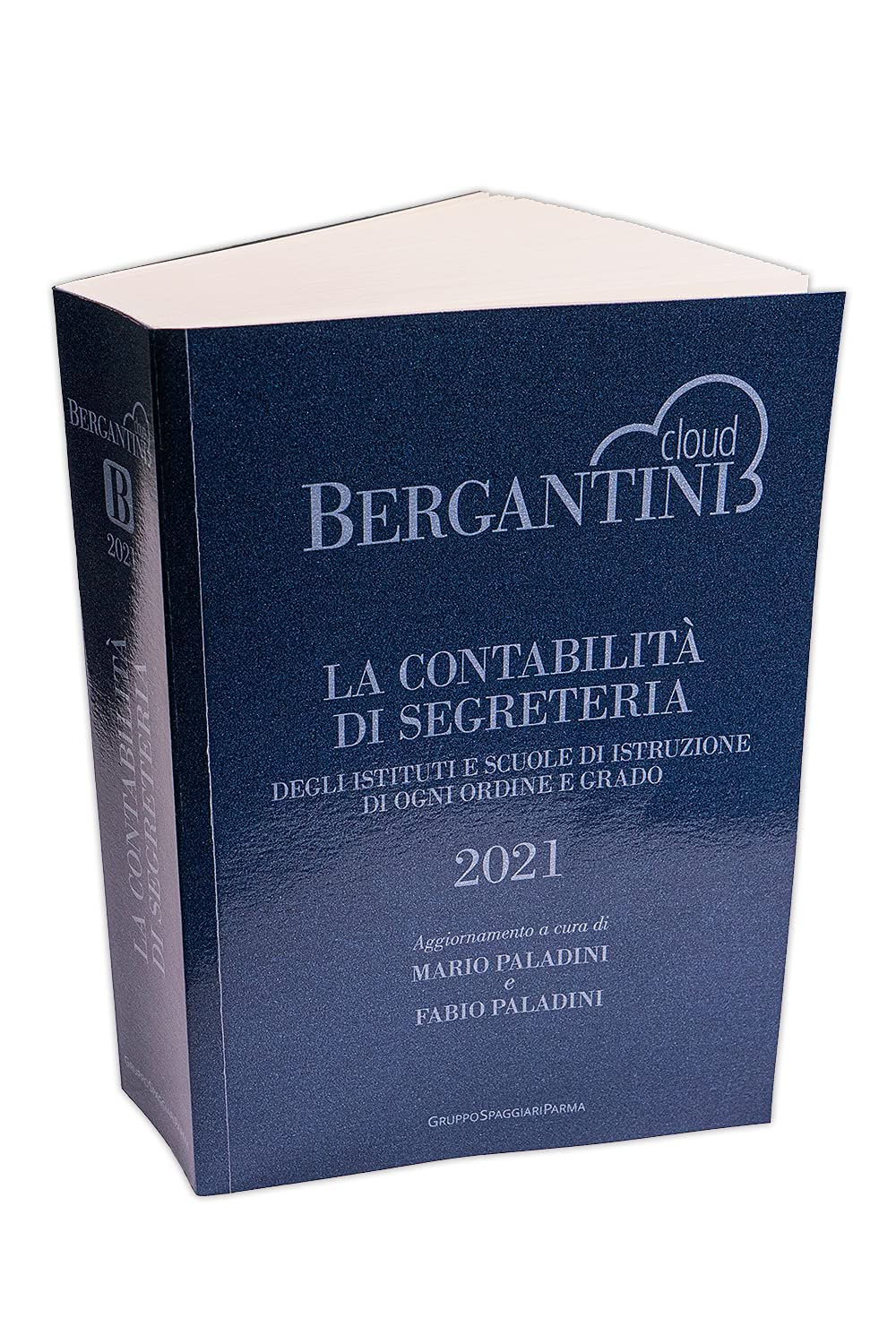 Bergantini. La contabilità di segreteria degli Istituti e Scuole di Istruzione di ogni ordine e grado Books
