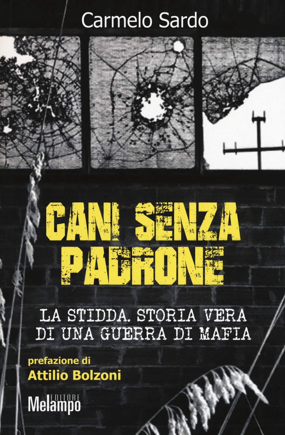 Cani senza padrone. La Stidda. Storia vera di una guerra di mafia Social Sciences