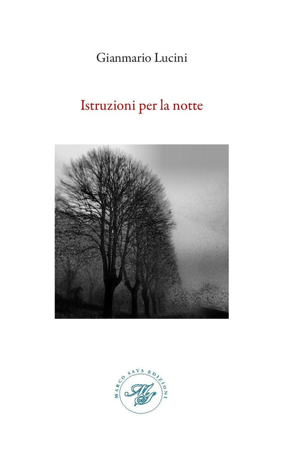 Istruzione per la notte. Raccolta poetica Poetry