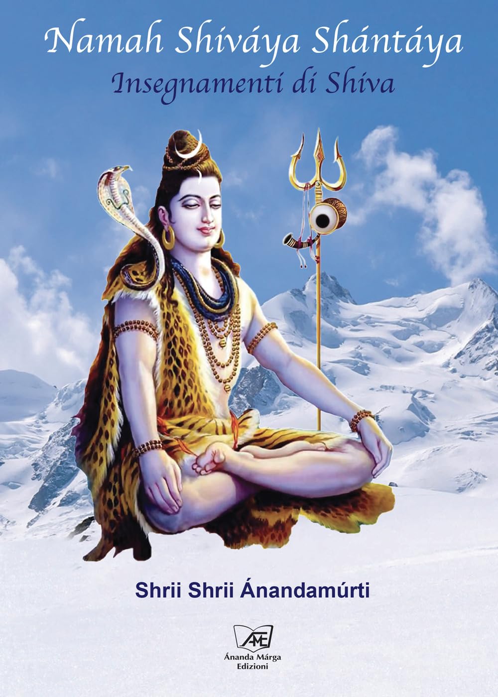 Namah Shiváya Shántáya. Insegnamenti di Shiva book