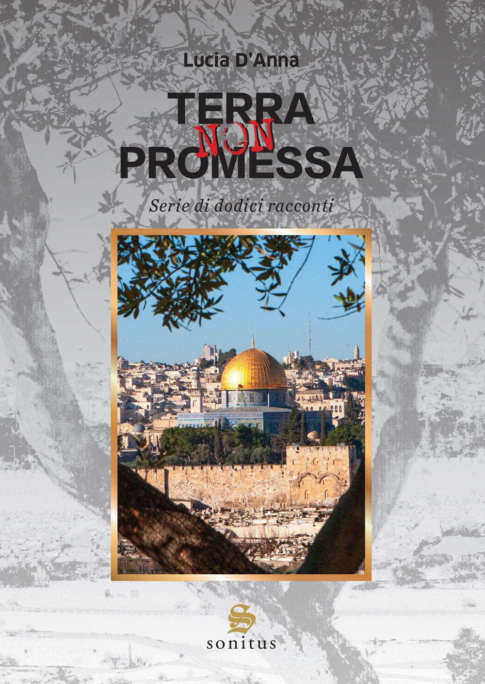 Terra non promessa. Serie di dodici racconti book