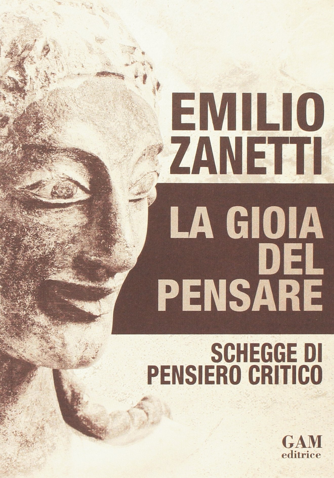 La gioia del pensare. Schegge di pensiero critico book